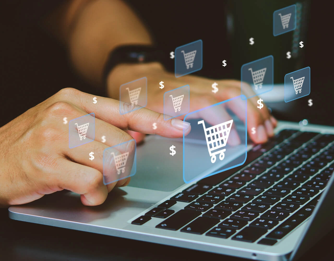 Customized eCommerce portal