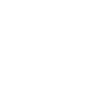 Mobile Patrols