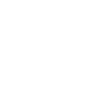 Retail Security