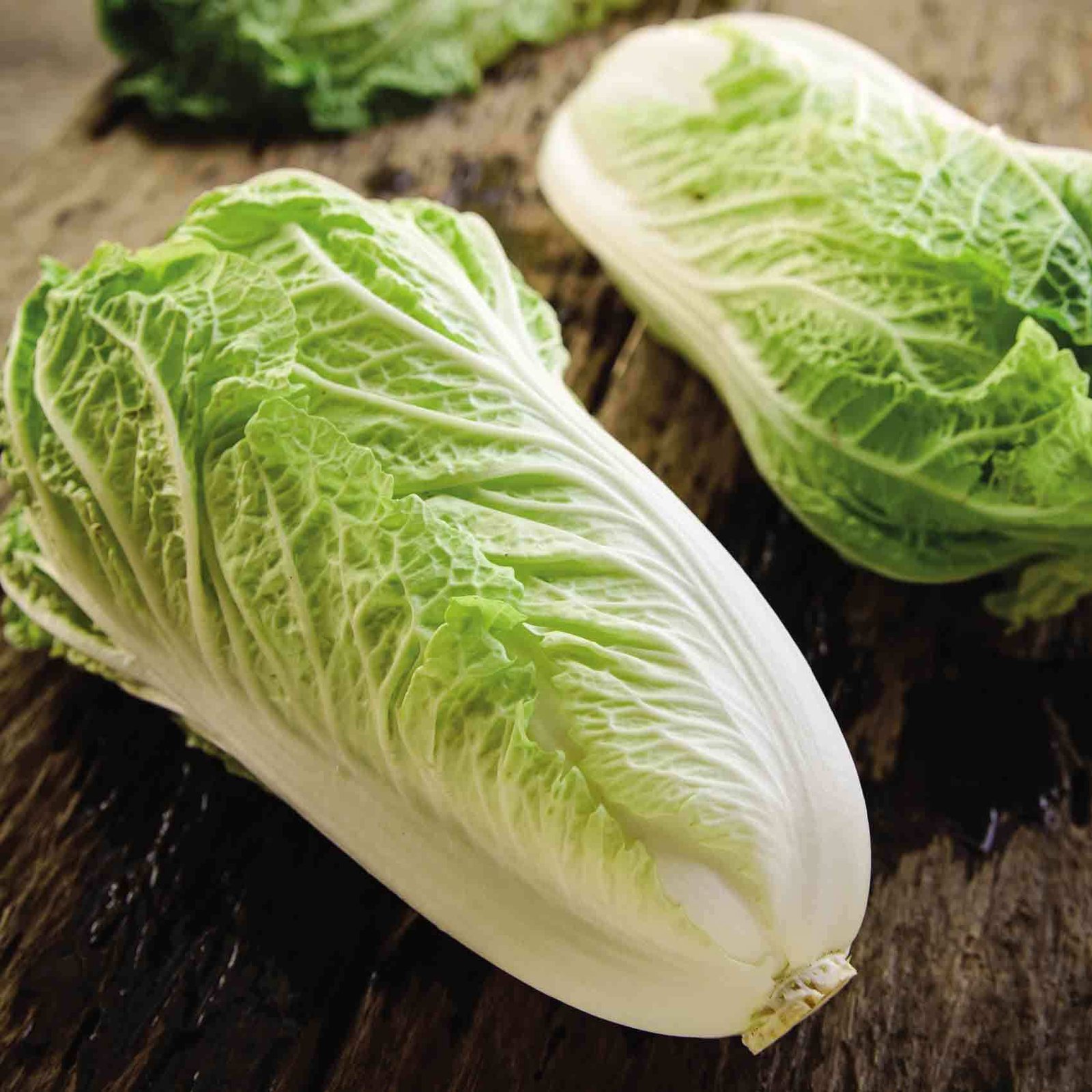 Chinese Cabbage