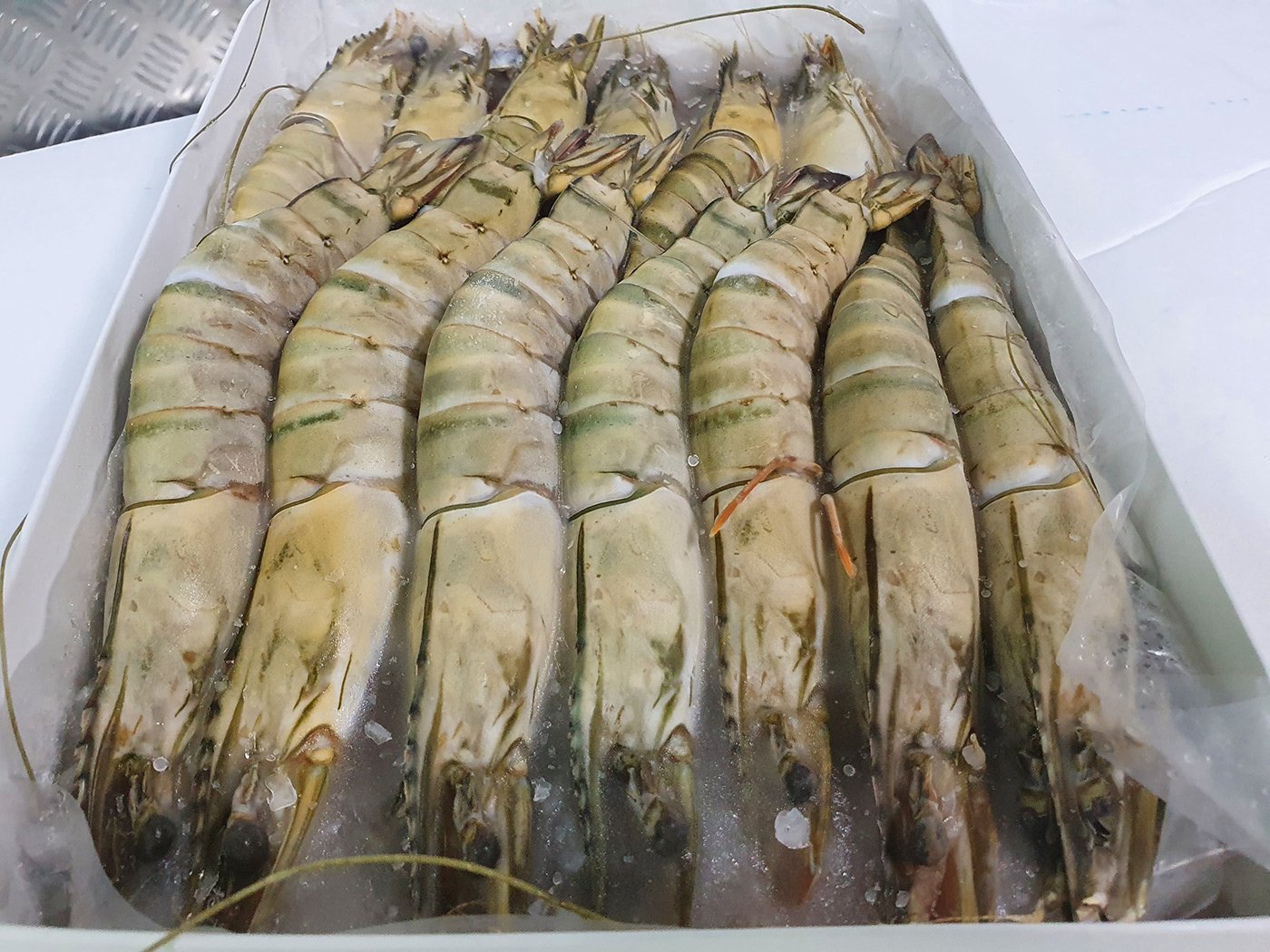 Hoso Black Tiger Shrimp - Image 2