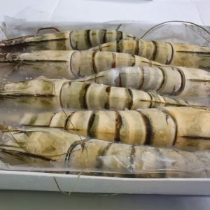 Hoso Black Tiger Shrimp