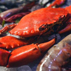 Crabs